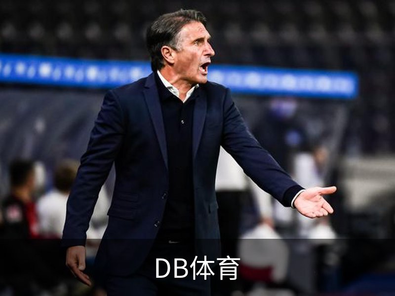 DB体育简介